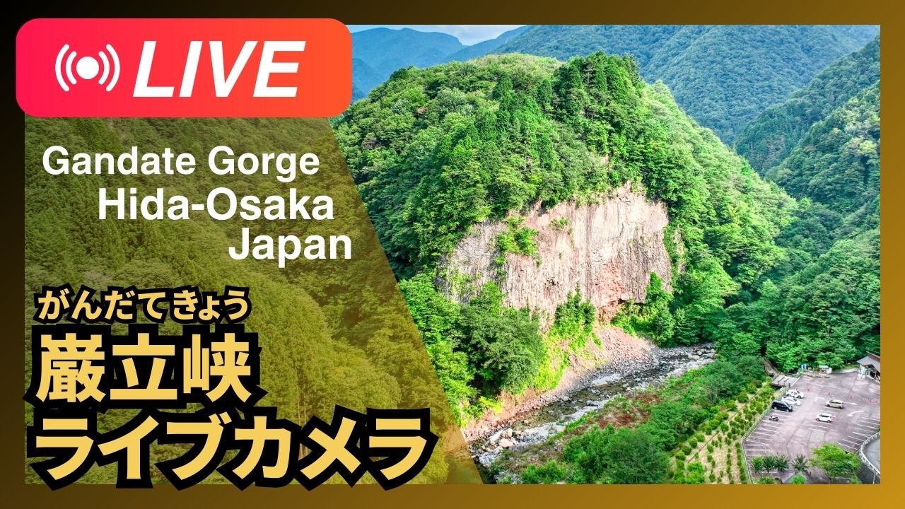 巌立峡 がんだて公園 ライブカメラ